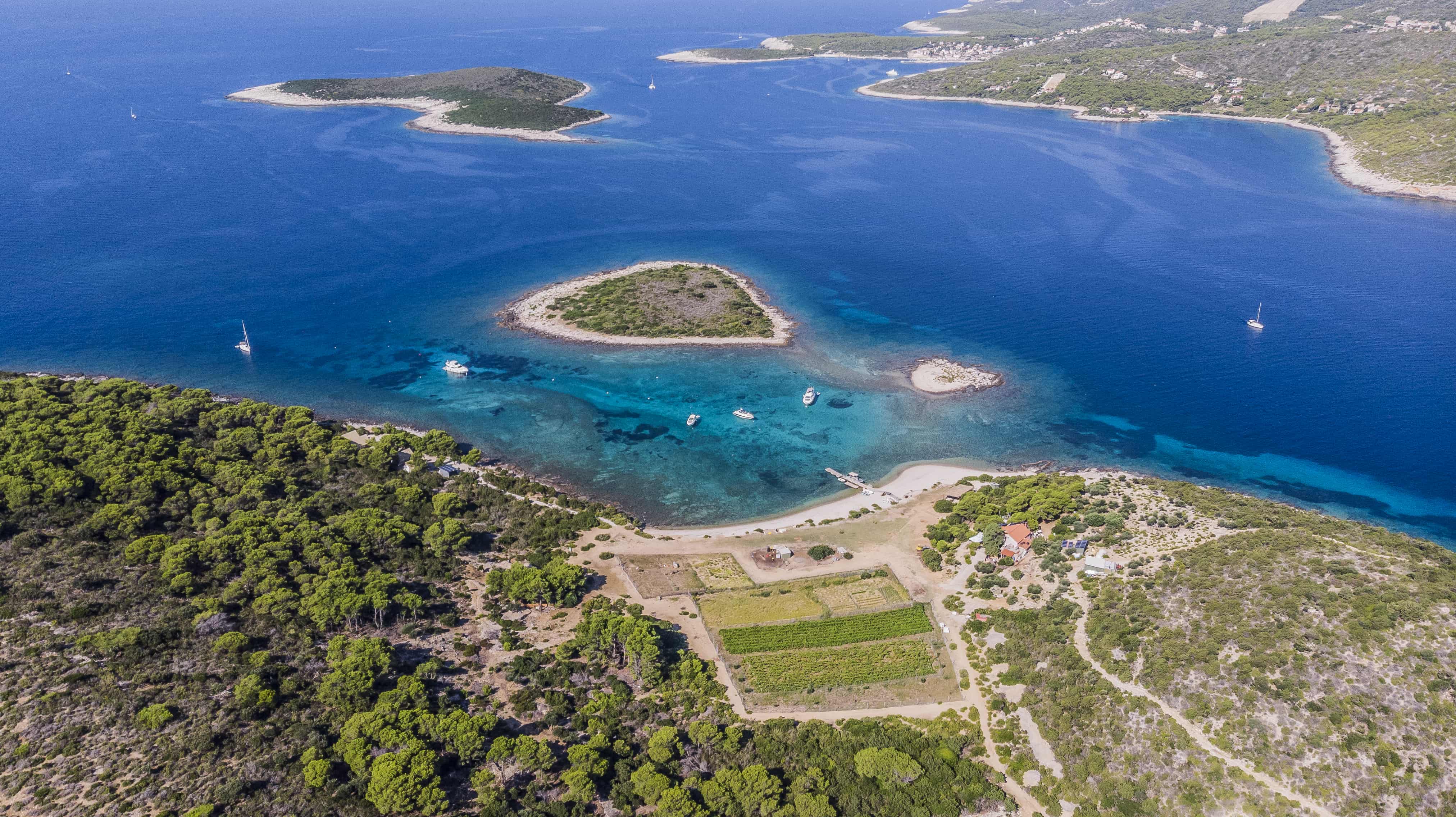 Budikovac Island