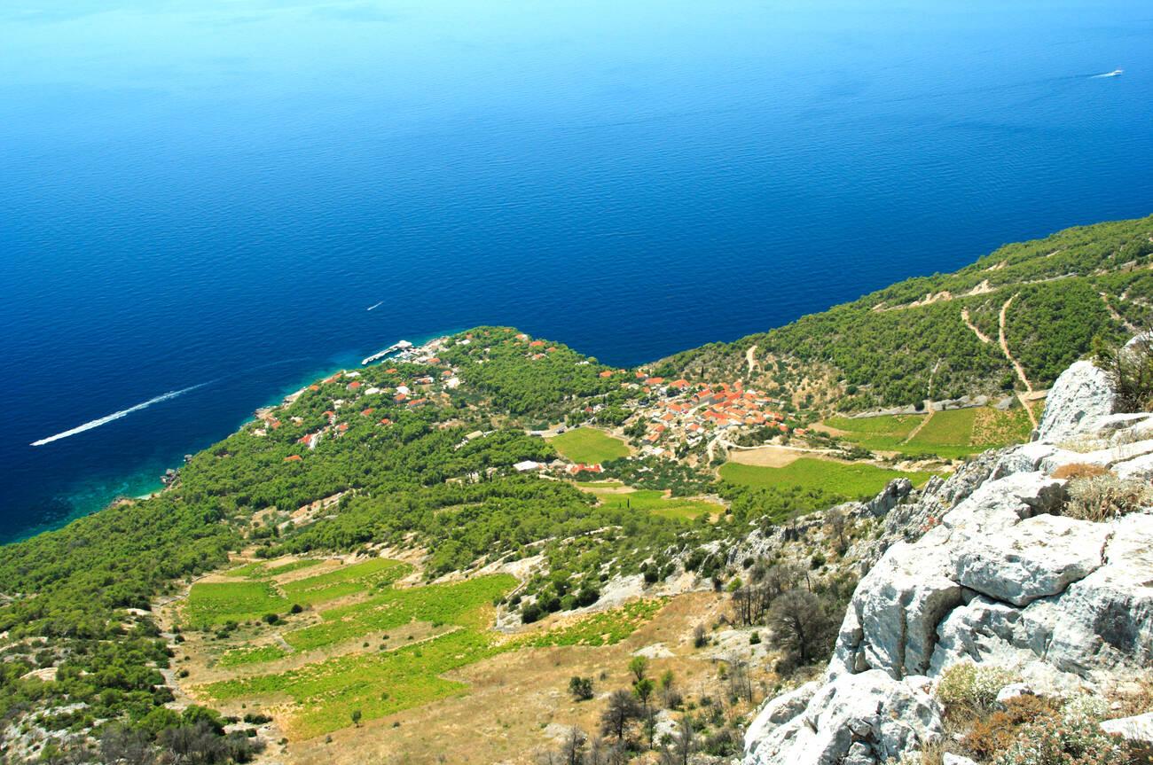 Steep vineyards of Sveta Nedija