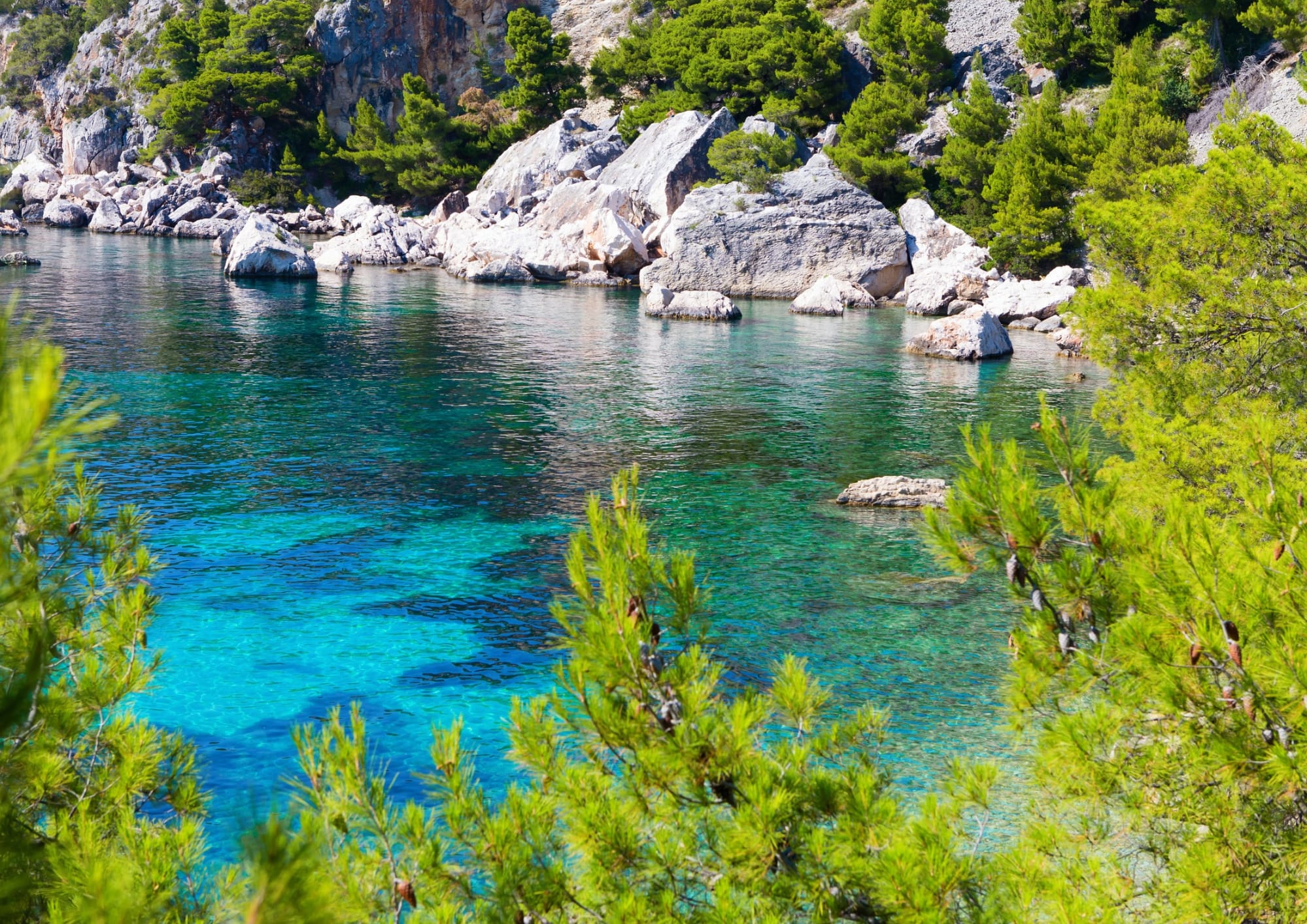 Swimming in the crystal clear waters of Zaraće Bay
